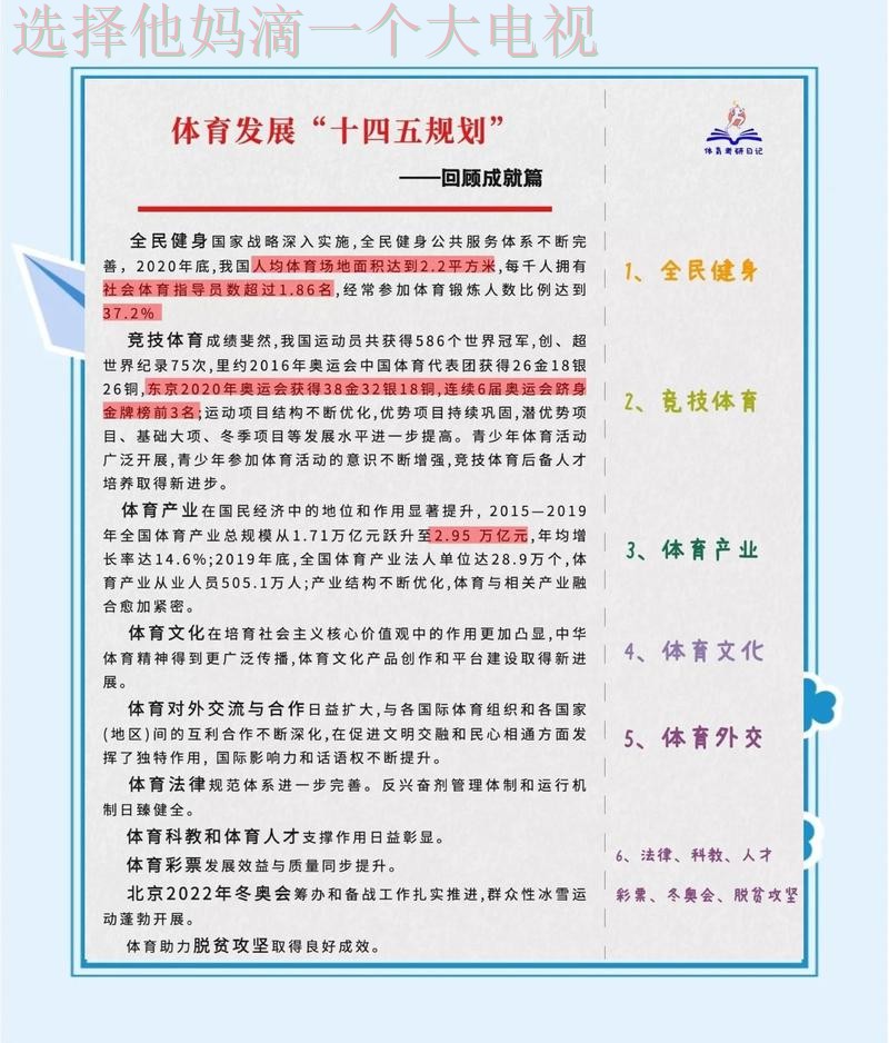 深入探讨体育正规版的多元化发展之路